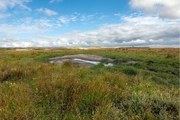 Fotografie-zwerftocht door Botgat
