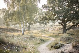 Natuurgedenkpark Sint Maartensbrug opent op 18 september