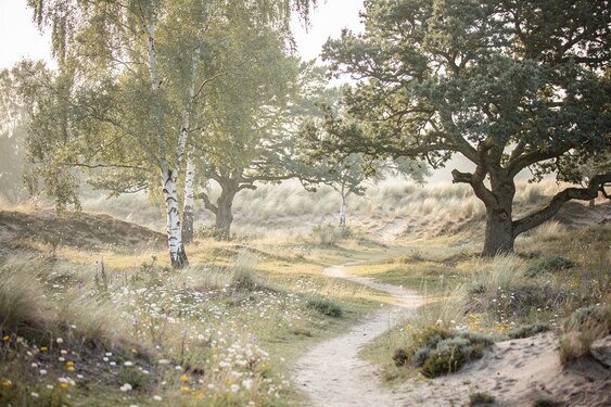Natuurgedenkpark Sint Maartensbrug opent op 18 september