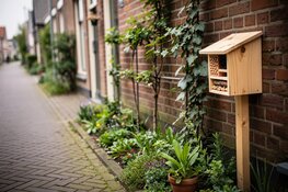 Tot 6.000 euro voor groene buurtplannen in Schagen
