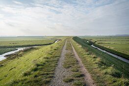 Dag van de Dijk zet Westfriese Omringdijk centraal