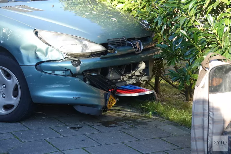 Auto rijdt in bosjes
