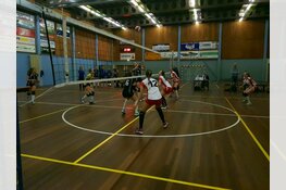 Dinto bereikt halve finale