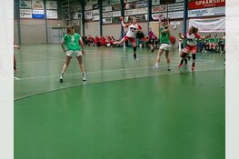 Handhaving een feit voor Maedilon/VZV