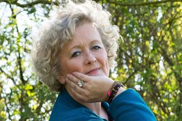 Ontdek je plakfactor