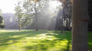 Chi Schagen organiseert eind mei lessen en workshops