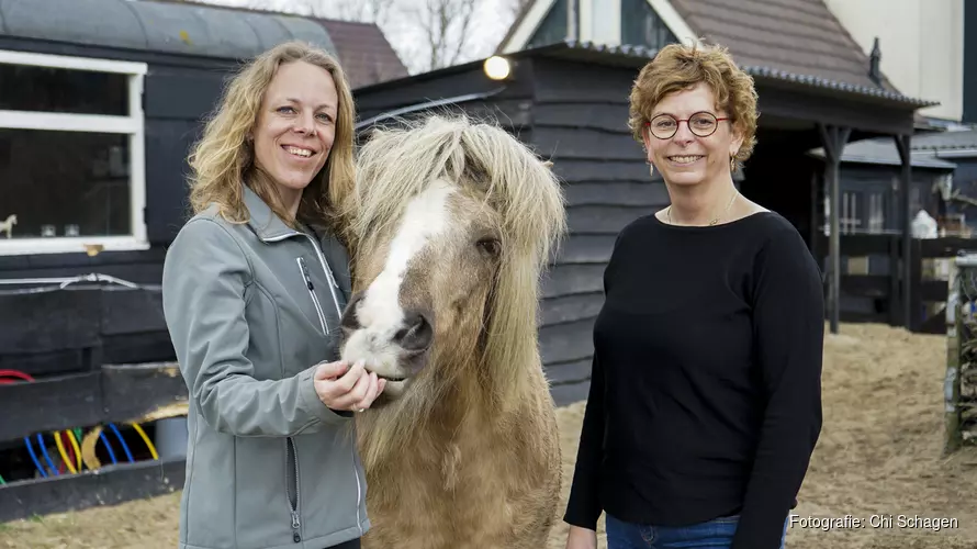 Wil je ook ontspannen tussen de paarden en ervaren wat ze jou “te vertellen” hebben?