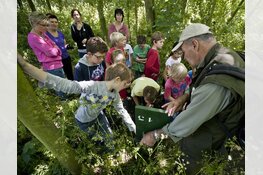 Vleermuizen luisteren en kijken in Eendenkooi ‘t Zand