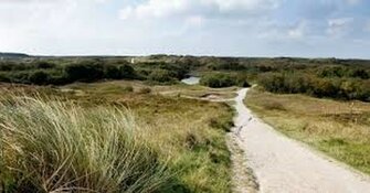 Stiltewandeling en yoga in Sint Maartenszee