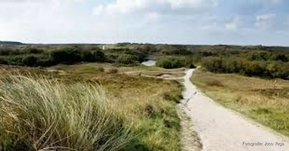 Stiltewandeling en yoga in Sint Maartenszee
