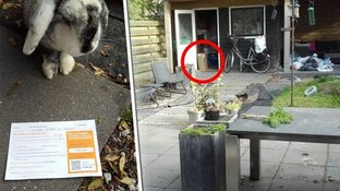 Bezorger laat megapakket achter in schuur: "Moet over schutting zijn geklommen"