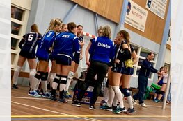 Dinto wil in de top meedraaien