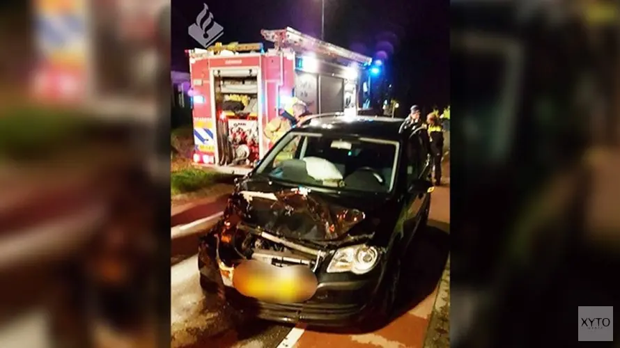 Pony overleden na botsing met auto in Dirkshorn