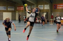 ZAP nog genadig voor Gemini