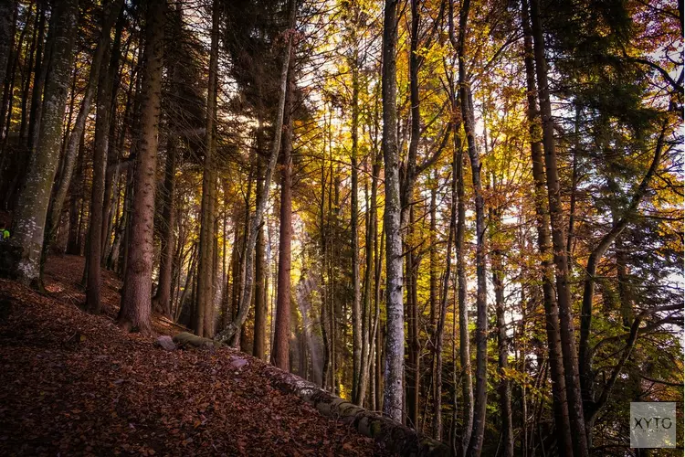 Stichting Gezond Natuur Wandelen biedt gratis wekelijkse natuurwandelingen aan
