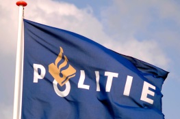 Dronken de sloot in
